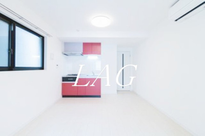 【その他】 | ＴＯＫＹＯ　ＦＬＡＴ