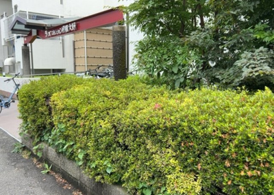 【中庭】 | ライオンズマンション相模大野 | 中庭（パティオ）とは、一つの建築物の内部に設けられた、壁などで囲われている庭のことを指します。コの字型、ロの字型が主流ですが、L字型の中庭もあります。最近では、インテリア性の高さからも人気があります。
