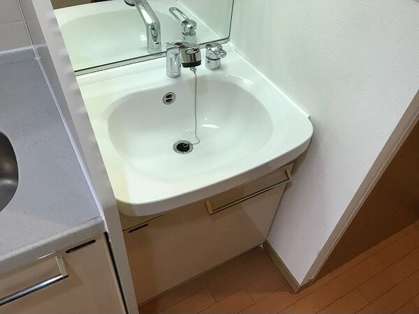 プレサンス桜通アベニューの洗面所
