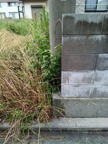 西条市丹原町願連寺254-51　売土地の外観