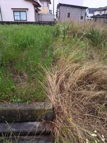 西条市丹原町願連寺254-51　売土地の外観