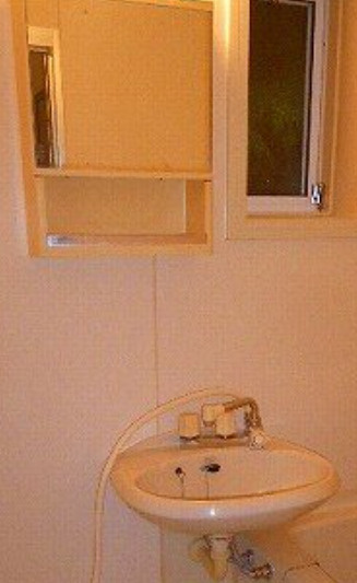 キャッスル古住の洗面所
