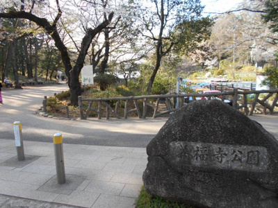 ★東京都立善福寺公園まで110ｍ