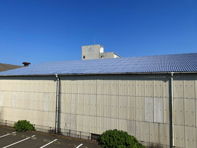 レオネクストバーン　ディーⅡのその他