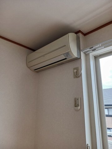 セレノのその他