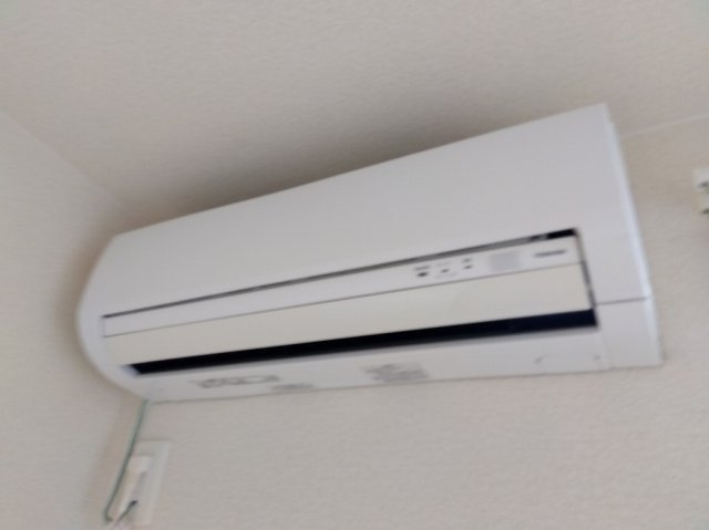 レオネクストシャムロックのその他