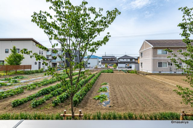 ファルコンベース若宮の展望