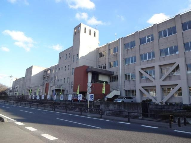 グランテラス　Ｃの周辺|水戸市立城東小学校まで750m