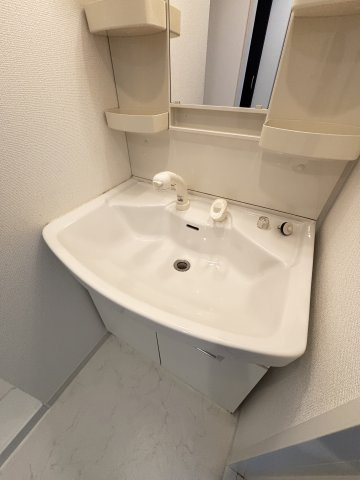 ツルトスコⅡ番館の洗面所