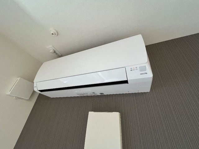 シャルールのその他
