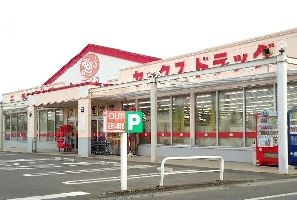 【周辺】 | フェアリーＡ | ヤックスドラッグ 横田店まで300m