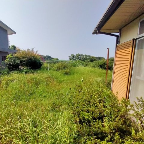 船越町一戸建の庭