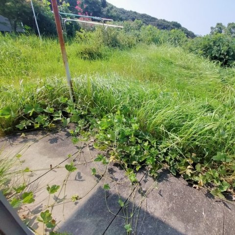 船越町一戸建の庭