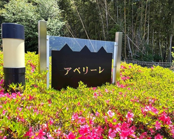 アペリーレのその他