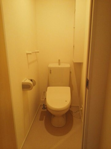 フルール　蘭Ⅱ　Ａのトイレ|清潔感のあるトイレです