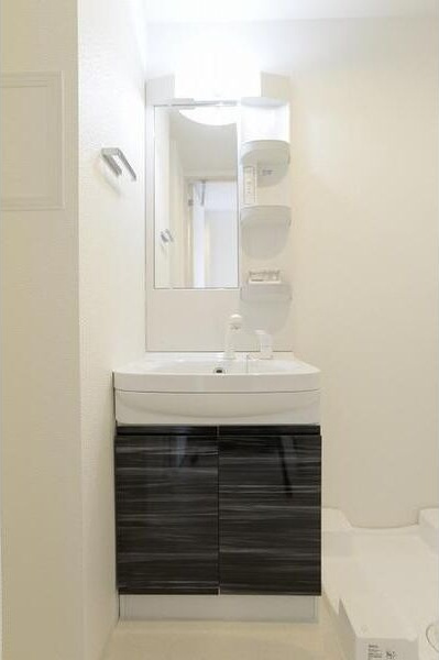 LaDouceur今池南の洗面所