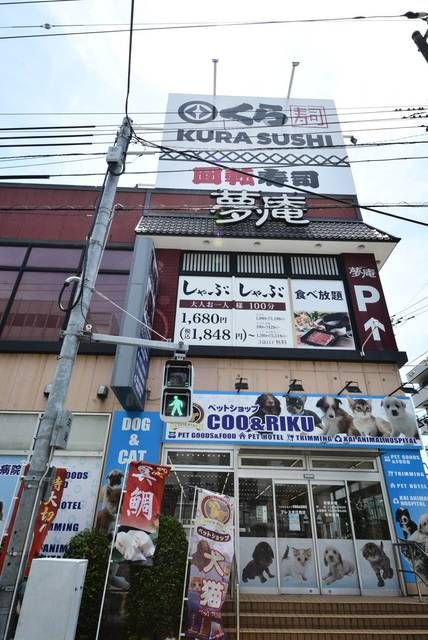 メゾン・ド・ヴィレ住吉の周辺