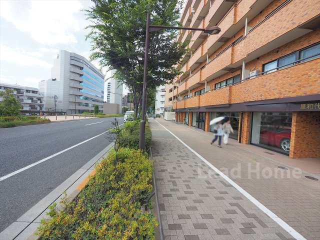 【その他】 | 星和代々木ハイツ | 前面道路