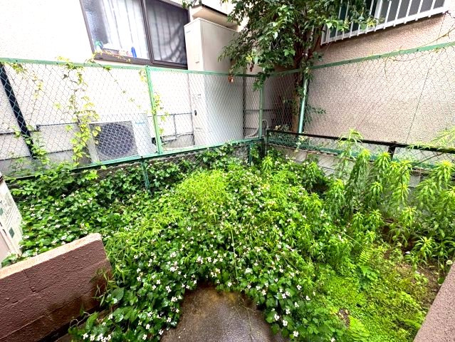 桜丘町戸建の庭