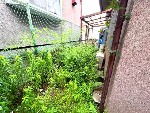 桜丘町戸建の庭