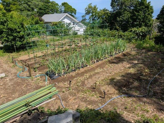 【庭】 | 東興別荘地　戸建