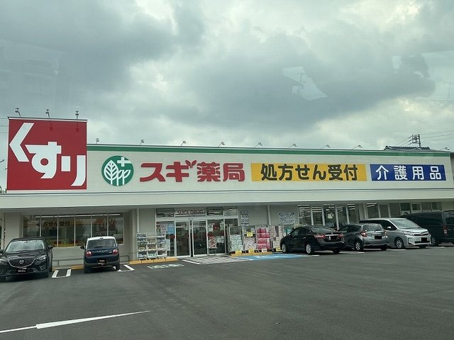 グリーンヒルズ社が丘の周辺|スギ薬局まで1100m