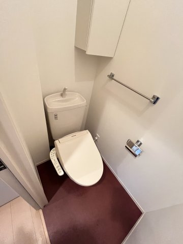 ウィング　ヴュー　B棟のトイレ|イメージ101号室の写真