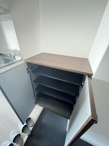 大阪市城東区放出西２丁目の賃貸マンションの玄関
