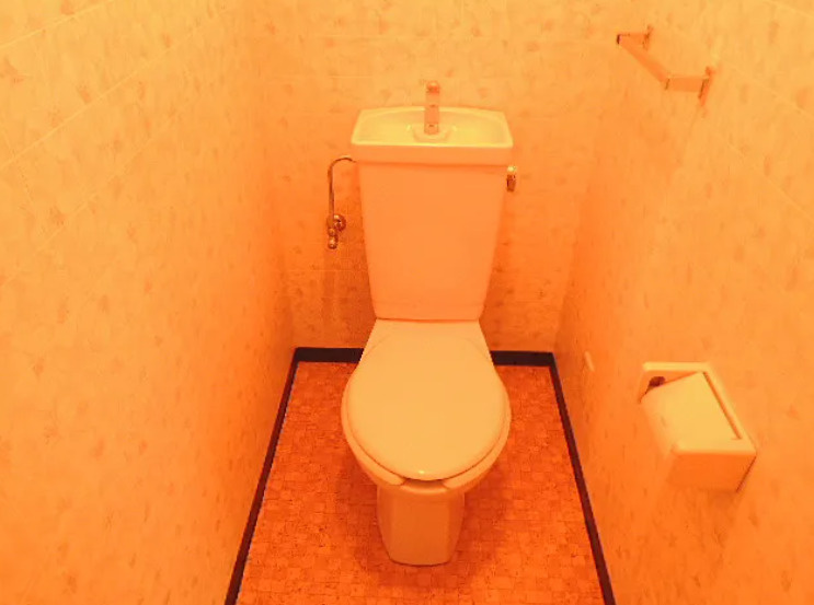 王子サウスウイングのトイレ|落ち着いたトイレです