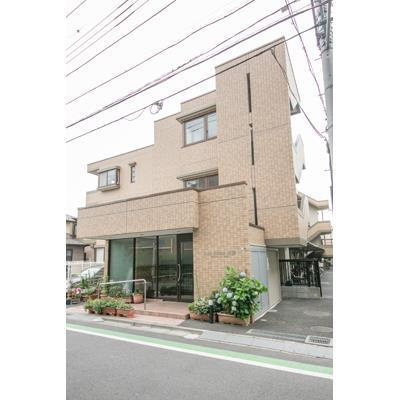 Sun Field与野