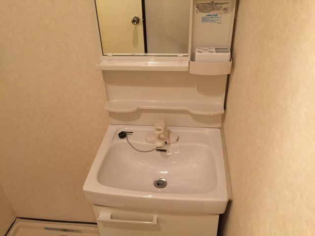 グリンピア亀戸の洗面所