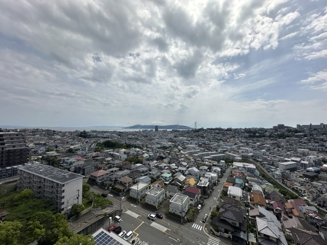 パームスクエアジェームス山の展望
