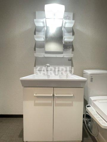 カーサクレスト清水Ⅰの洗面所