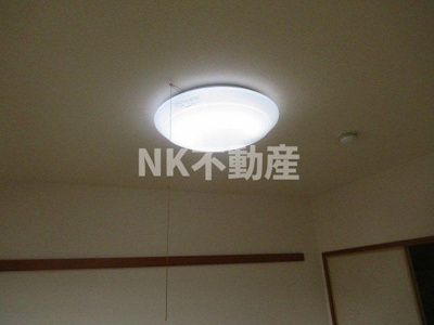 【設備】 | ルディシアコート（吉田賃貸） | 照明です