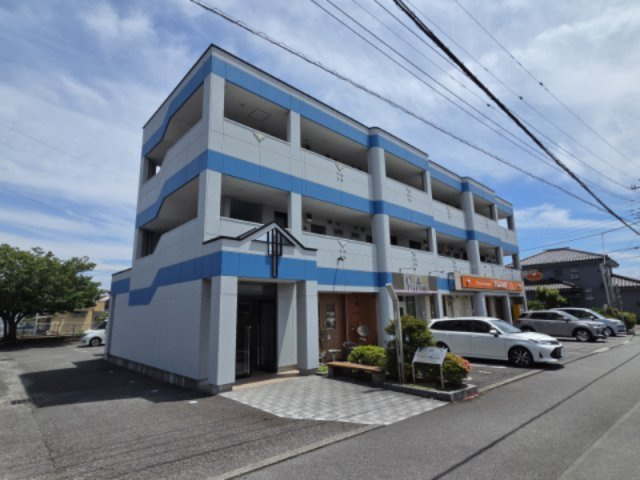 チェリーブロッサム