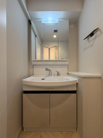 Louis Residence弁天町の洗面所