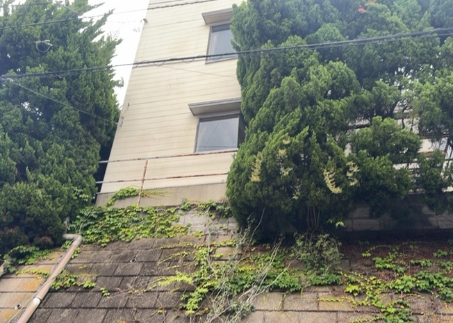【構造・工法・仕様】 | 木造住宅とは土台、壁、柱など建築物の強度を支える構造体の材に木が使用されている構造を指します。構造体は建物の自重を支えるだけではなく風圧や水圧、積裁荷重などあらゆる衝撃に耐えるための基礎です。