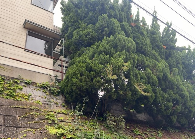 【設備】 | 敷地内に散水栓や立水栓があると便利です。水道水を直接利用できるため、水を運ぶ手間を省くことが出来ます。大量の水を必要とする洗車作業や清掃などに役立ちます。その他設備とあわせて、現地でご確認ください。