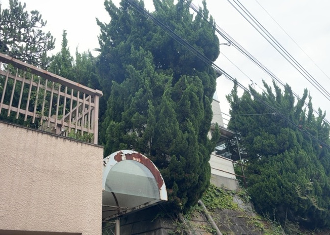 【バルコニー】 | バルコニーは、建物内から室外へ楽に出入りできる便利なスペースです。また、バルコニーには手すりを付けることが義務付けられており、手すりの高さは110cm以上で施工することが建築基準法で定められています。