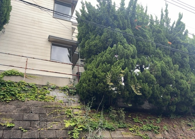 【庭】 | 庭があることでガーデニングや家庭菜園はもちろん、こどもの遊び場やペットを放して遊ぶことができます。また、家の周囲に余裕があるということです。隣地との間があれば、十分な日当たりと、風通しが確保できます。