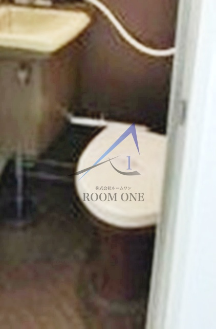 新丸子ダイカンプラザシティ１のトイレ|トイレです。