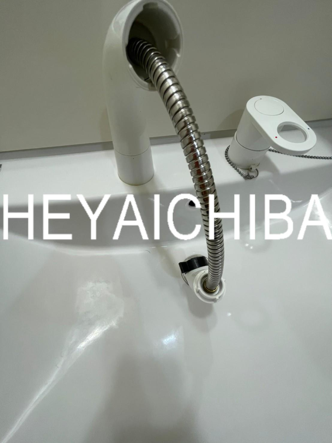 新東京タワーレジデンスⅡの洗面所|シャワー付き洗面台