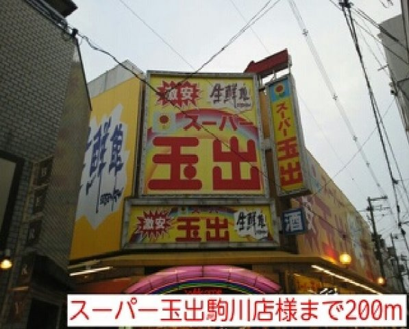 ロイヤルパークの周辺|スーパー玉出駒川店様まで200m
