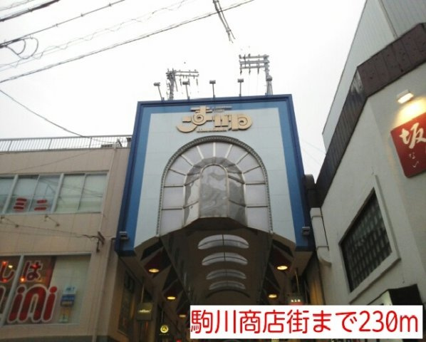ロイヤルパークの周辺|駒川商店街まで230m