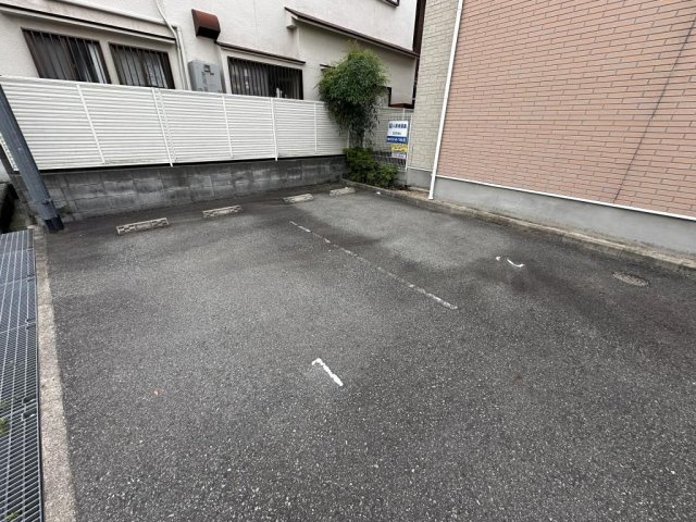 コウノトリのその他