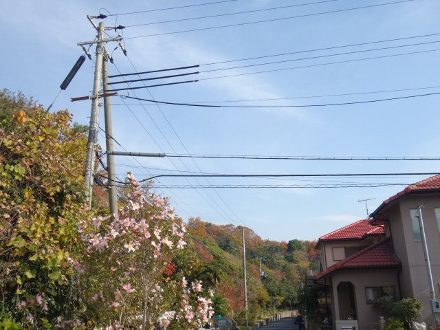 レオパレス天が岡の展望