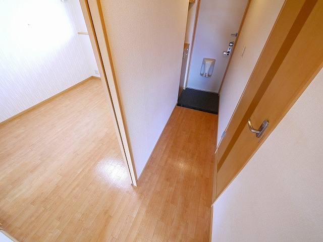 メゾン・酒屋辻のその他|廊下です
