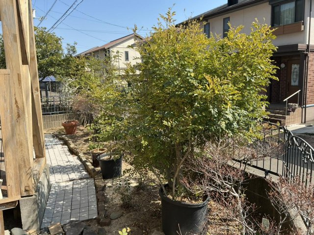 「ゆとりの5SLDK」高知市春野町南ヶ丘7丁目　中古戸建の庭