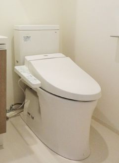 エストゥルース新小岩 のトイレ