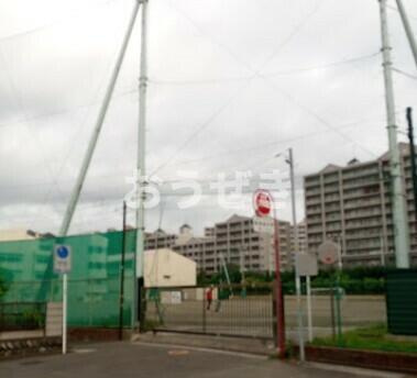 サンタハウス本牧の周辺|横浜市立大鳥中学校まで1,015m 